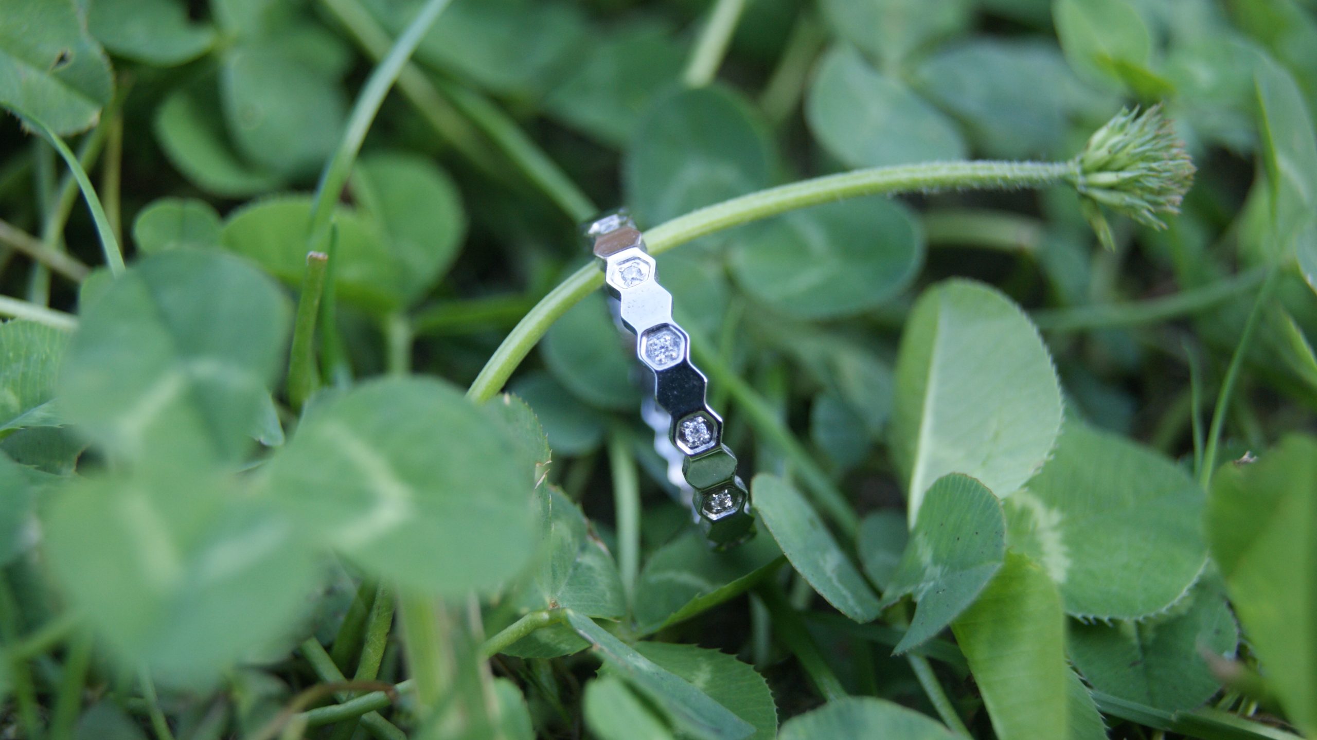ANILLO HONEY PLATEADO