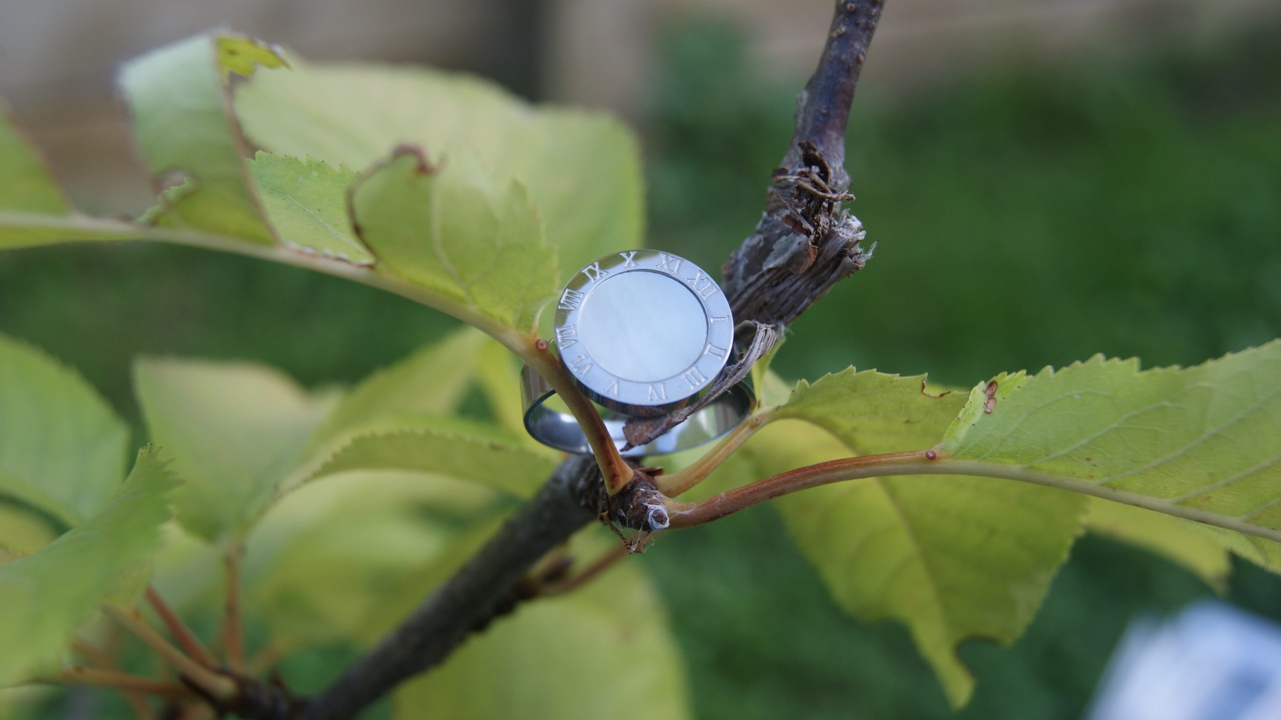 ANILLO UMA - Imagen 4
