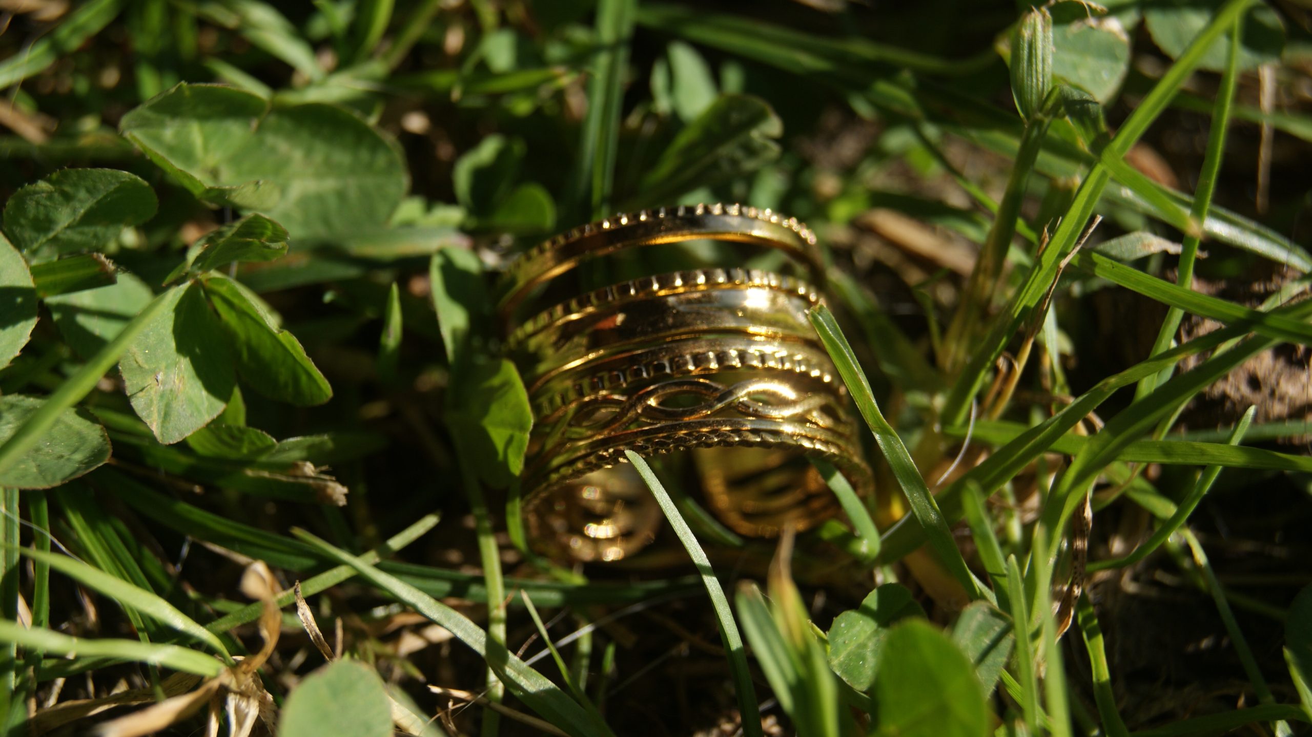 ANILLO NIVA - Imagen 2
